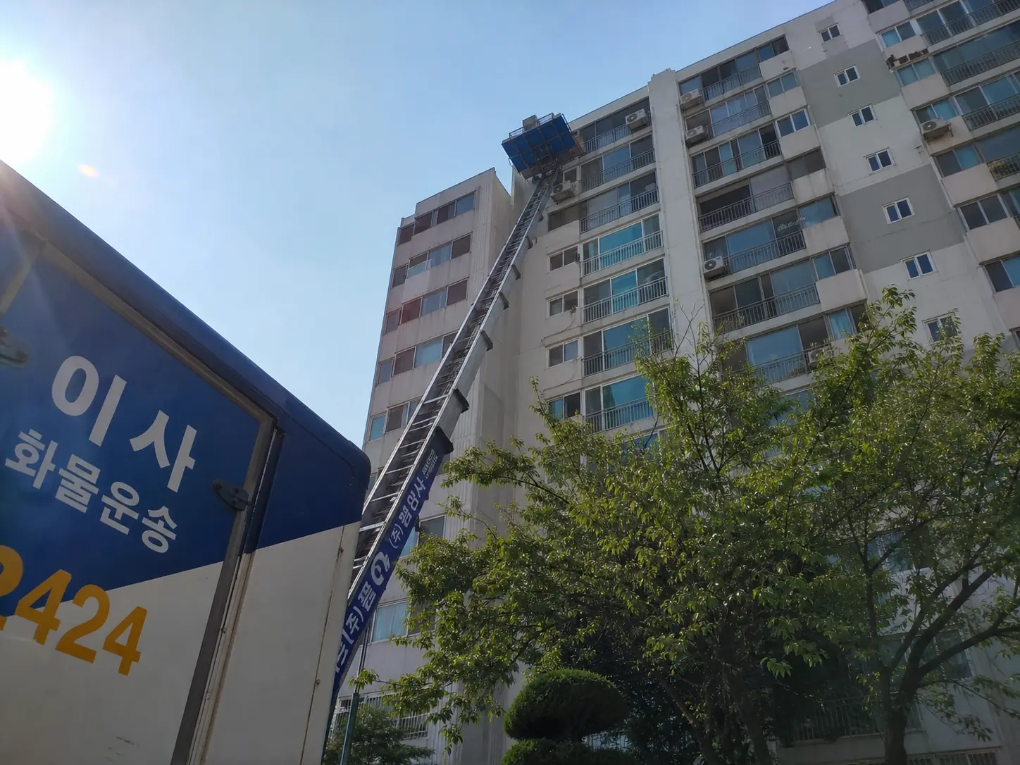 정식업체